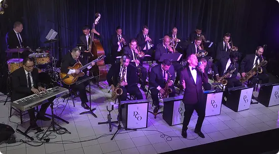 professional musicians Houston