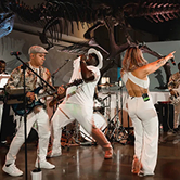 professional musicians Houston